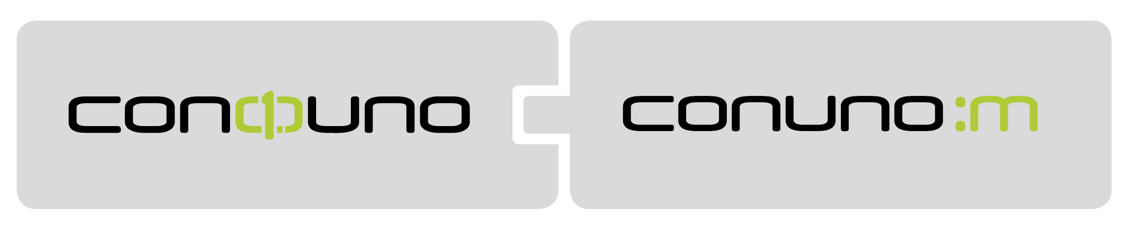 SAP Consulting, Project Excellence